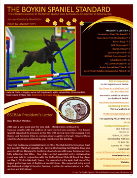 IMAGE BSCBAA JANUARY 2015 NEWSLETTER