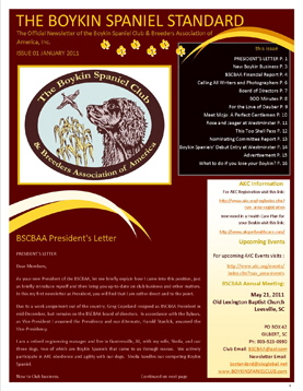 Image BSCBAA NEWSLETTER web compessed